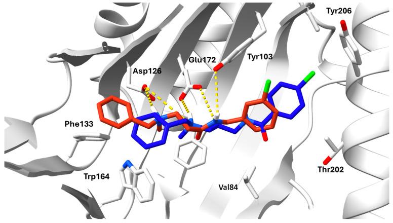 https://cdn.ncbi.nlm.nih.gov/pmc/blobs/559f/12430443/5311c603602c/molecules-30-03584-g002.jpg
