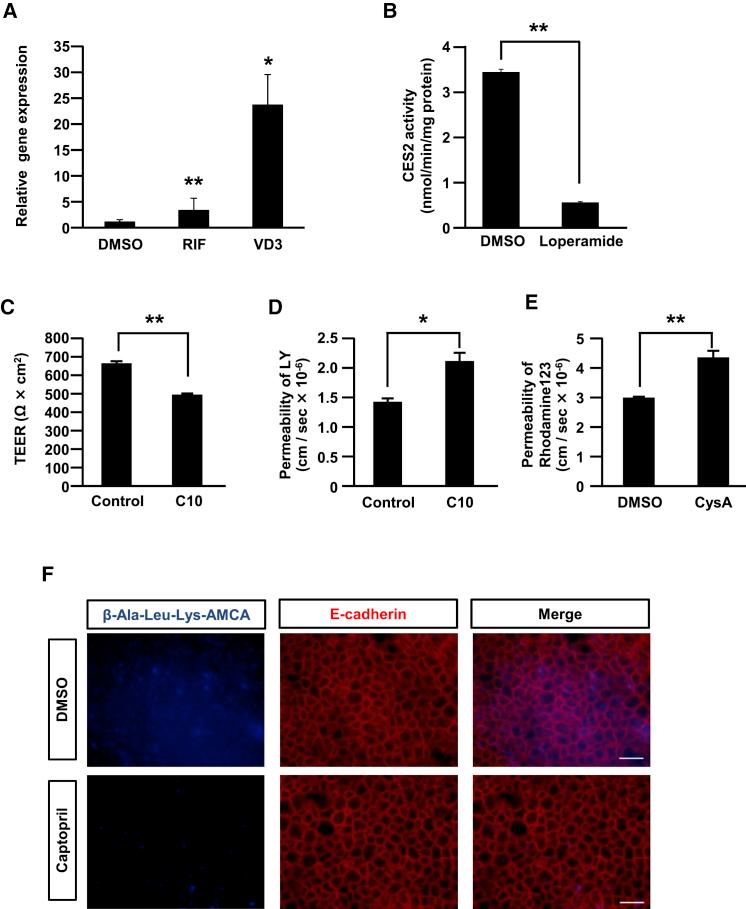 https://cdn.ncbi.nlm.nih.gov/pmc/blobs/55a4/6294172/12cf1e5e1cb5/gr6.jpg