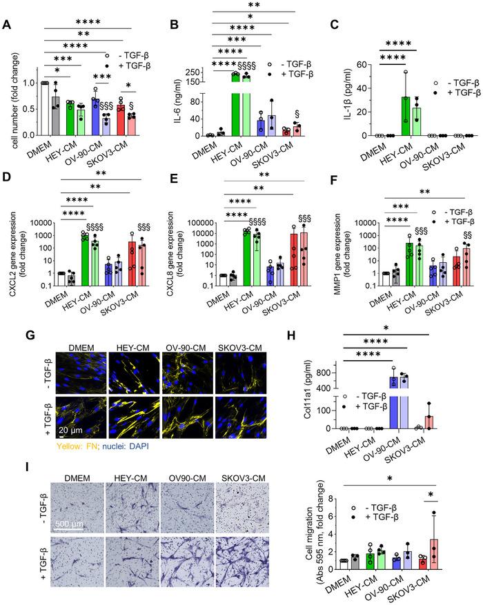 https://cdn.ncbi.nlm.nih.gov/pmc/blobs/55a5/12006666/58cb0f49e7ee/MCO2-6-e70172-g002.jpg