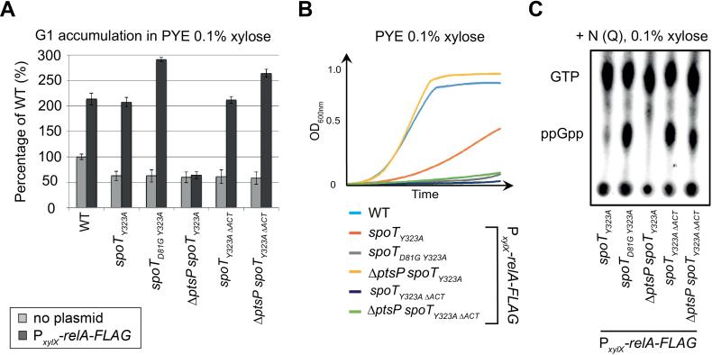 https://cdn.ncbi.nlm.nih.gov/pmc/blobs/55a5/6344854/2a615afcdc6d/gky1201fig3.jpg