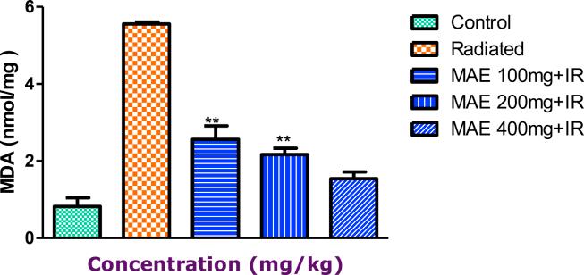 https://cdn.ncbi.nlm.nih.gov/pmc/blobs/55a6/6543085/1a277cade994/gr4.jpg
