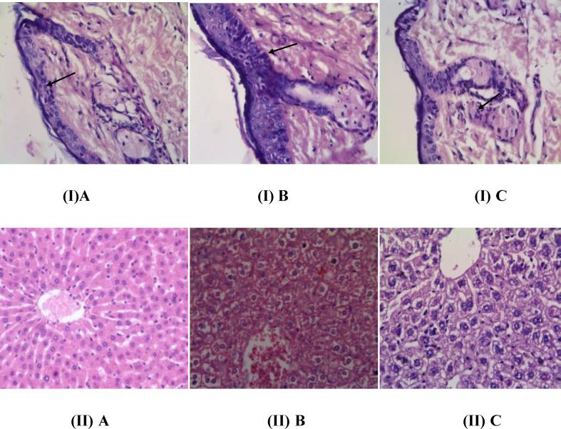 https://cdn.ncbi.nlm.nih.gov/pmc/blobs/55a6/6543085/26ee5e4cb96b/gr7.jpg