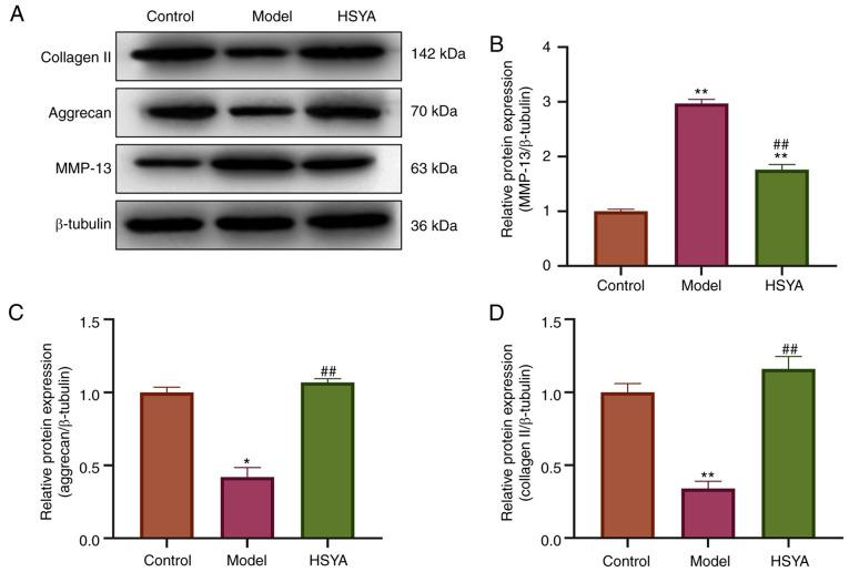 https://cdn.ncbi.nlm.nih.gov/pmc/blobs/55a6/8764902/38c54f5af6a7/etm-23-02-11105-g03.jpg