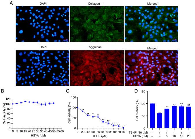 https://cdn.ncbi.nlm.nih.gov/pmc/blobs/55a6/8764902/4026fe45df75/etm-23-02-11105-g00.jpg