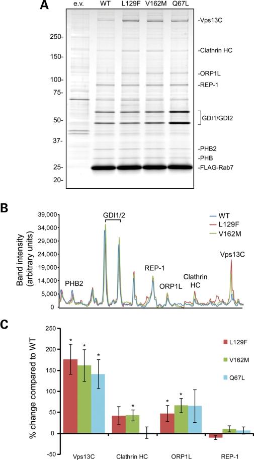 https://cdn.ncbi.nlm.nih.gov/pmc/blobs/55a7/2830827/325590b67fe5/ddp56704.jpg