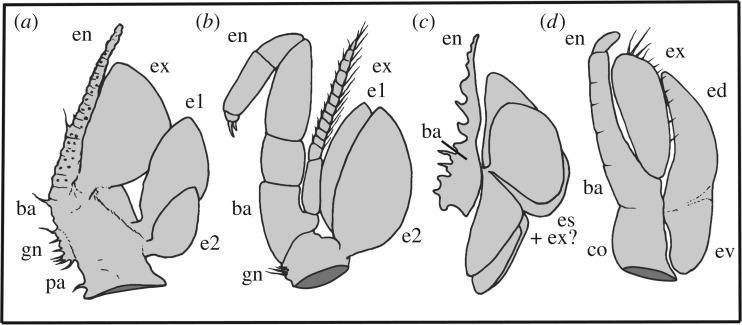 https://cdn.ncbi.nlm.nih.gov/pmc/blobs/55a9/5378094/62acaefabfe7/rspb20170279-g3.jpg