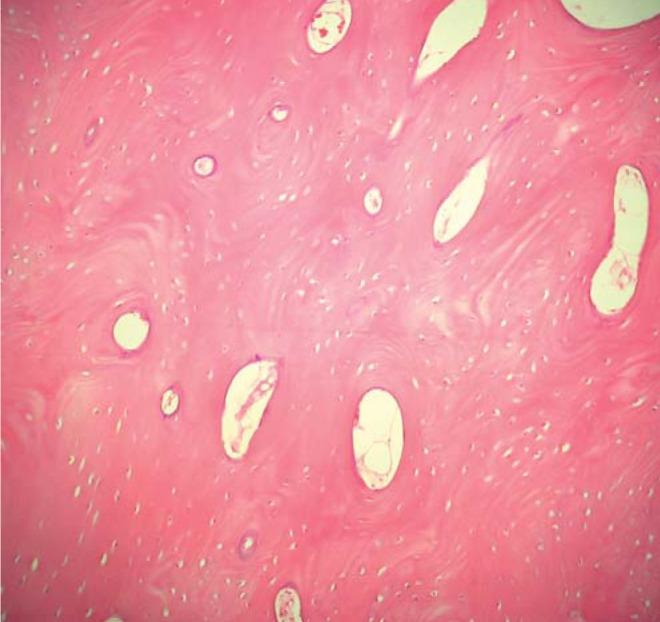 https://cdn.ncbi.nlm.nih.gov/pmc/blobs/55ab/3389057/890ef3aaed39/isd-42-99-g002.jpg