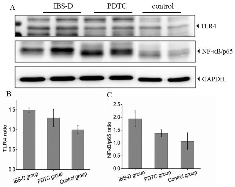 https://cdn.ncbi.nlm.nih.gov/pmc/blobs/55ab/5768377/80079f4d78fd/oncotarget-08-113957-g002.jpg