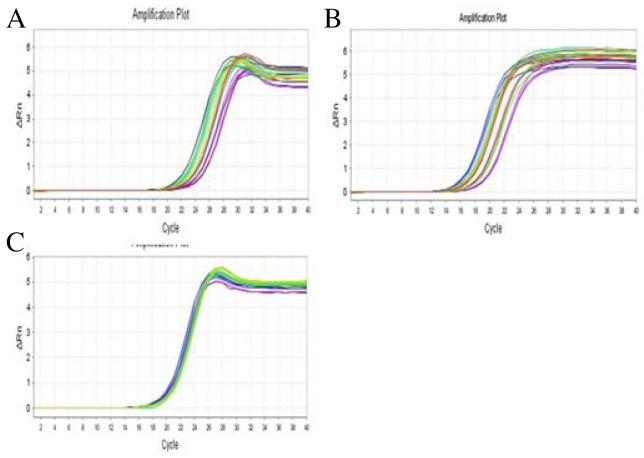 https://cdn.ncbi.nlm.nih.gov/pmc/blobs/55ab/5768377/86a9b6b9450f/oncotarget-08-113957-g005.jpg
