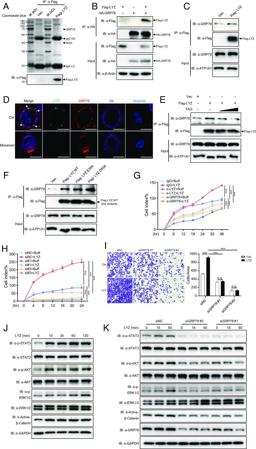 https://cdn.ncbi.nlm.nih.gov/pmc/blobs/55ac/10629575/25fe5e8e2855/pnas.2215744120fig06.jpg