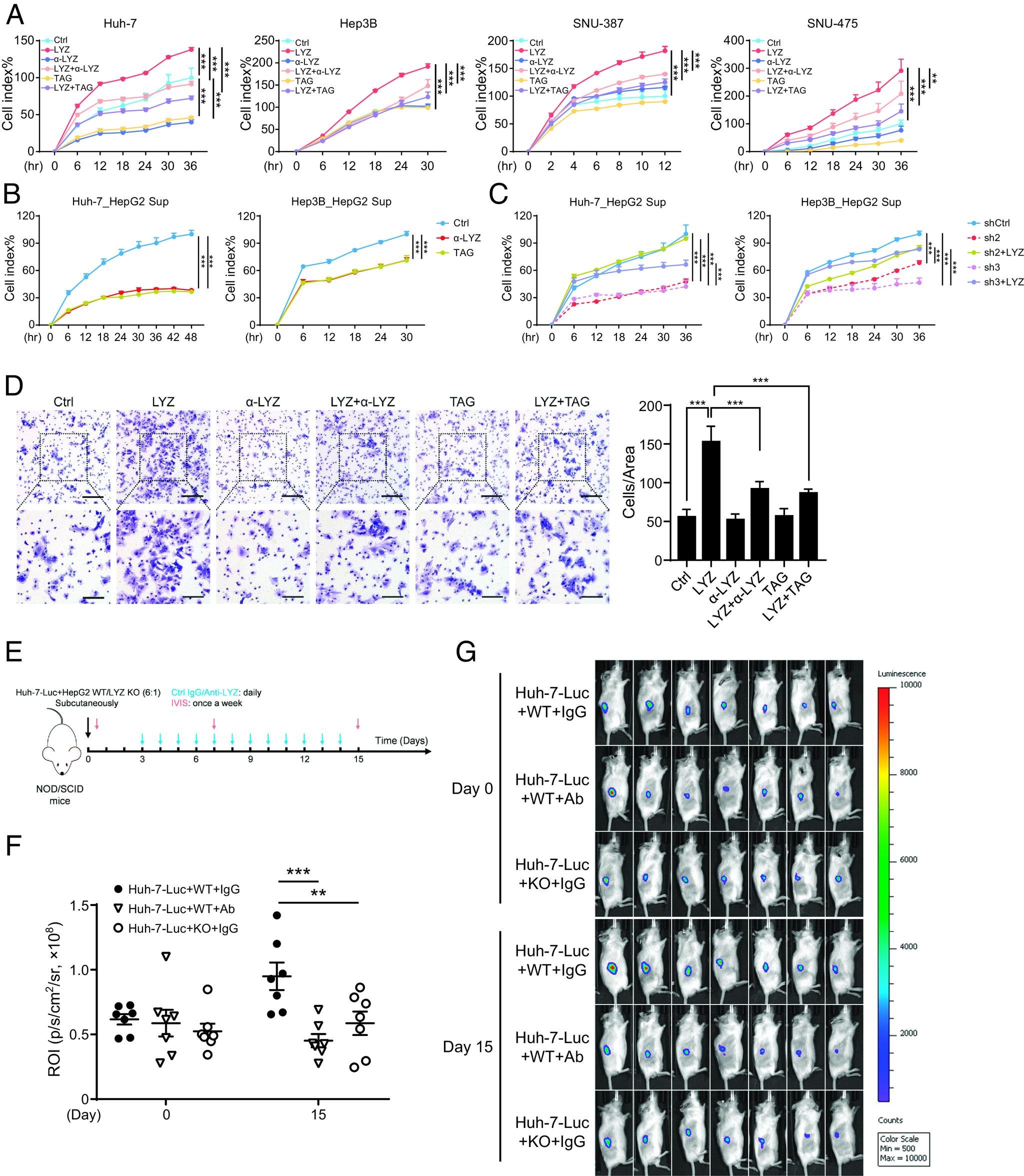 https://cdn.ncbi.nlm.nih.gov/pmc/blobs/55ac/10629575/8122eda74459/pnas.2215744120fig05.jpg