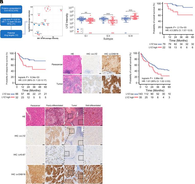 https://cdn.ncbi.nlm.nih.gov/pmc/blobs/55ac/10629575/d355ea652b3d/pnas.2215744120fig01.jpg