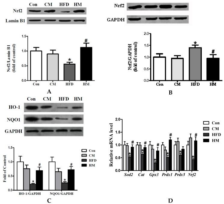 https://cdn.ncbi.nlm.nih.gov/pmc/blobs/55ad/5188454/4c91f5740f93/nutrients-08-00799-g006.jpg