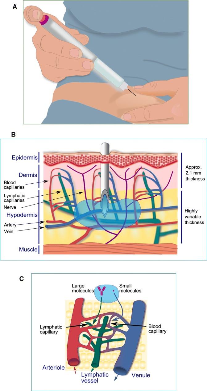 https://cdn.ncbi.nlm.nih.gov/pmc/blobs/55ad/6822791/9736de8a5738/12325_2019_1101_Fig1_HTML.jpg