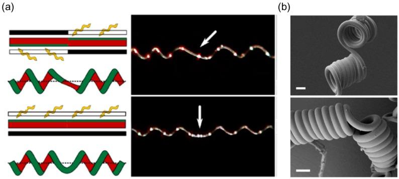 https://cdn.ncbi.nlm.nih.gov/pmc/blobs/55ae/6164363/bbee00ca91e7/sensors-18-02973-g019.jpg