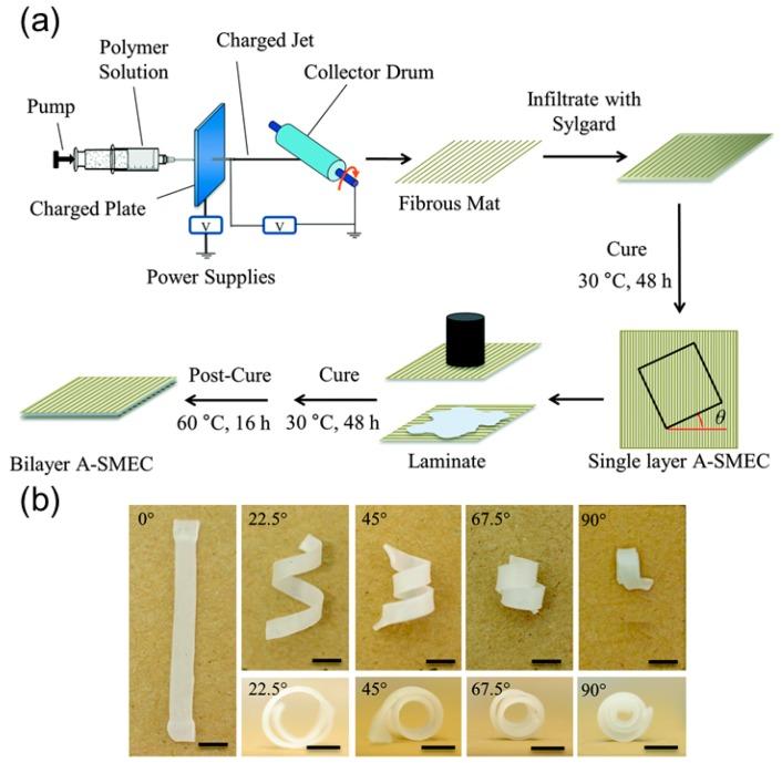 https://cdn.ncbi.nlm.nih.gov/pmc/blobs/55ae/6164363/e0f1a7c60565/sensors-18-02973-g010.jpg