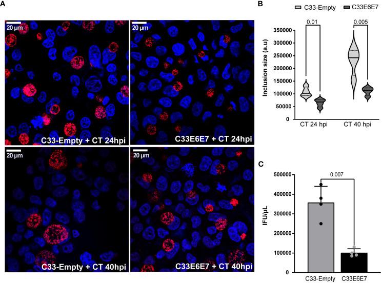 https://cdn.ncbi.nlm.nih.gov/pmc/blobs/55b3/10516566/482ffa59fa43/fcimb-13-1214017-g003.jpg