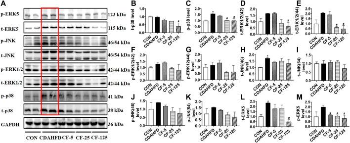 https://cdn.ncbi.nlm.nih.gov/pmc/blobs/55b4/10213340/414a36f80475/fphar-14-1190458-g006.jpg