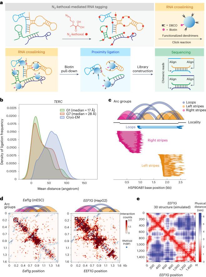 https://cdn.ncbi.nlm.nih.gov/pmc/blobs/55b4/11631761/32b1ec20436c/41587_2023_2109_Fig1_HTML.jpg