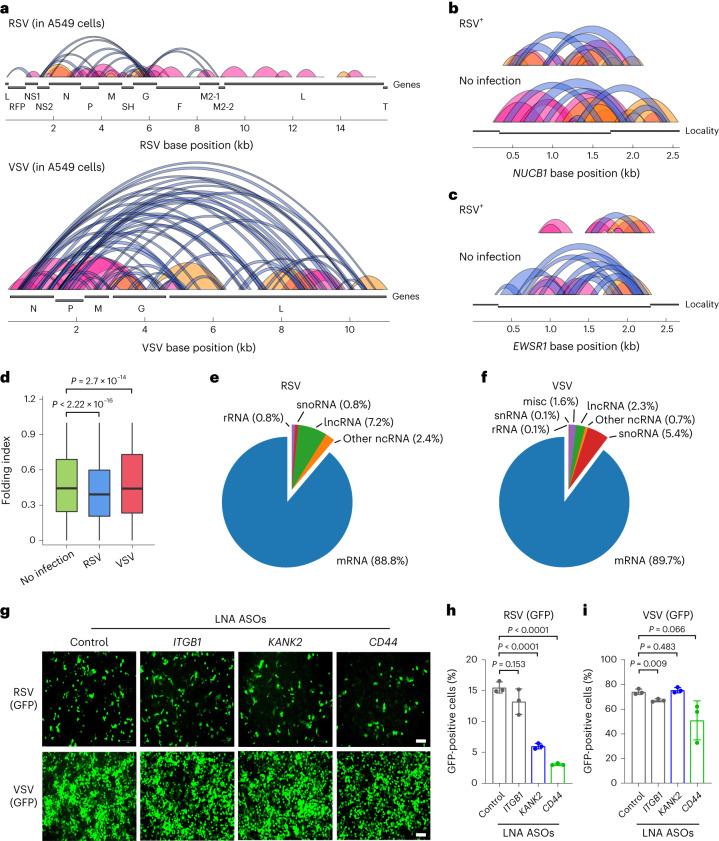 https://cdn.ncbi.nlm.nih.gov/pmc/blobs/55b4/11631761/46ead1831d64/41587_2023_2109_Fig5_HTML.jpg