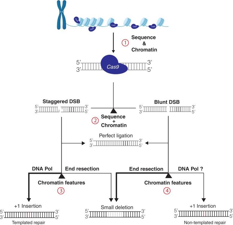 https://cdn.ncbi.nlm.nih.gov/pmc/blobs/55b4/9516779/2dcbb904b252/kiac285f5.jpg