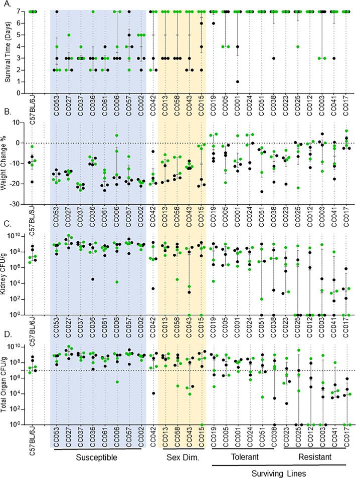 https://cdn.ncbi.nlm.nih.gov/pmc/blobs/55b6/11108197/8cccd5aac165/pgen.1011229.g001.jpg