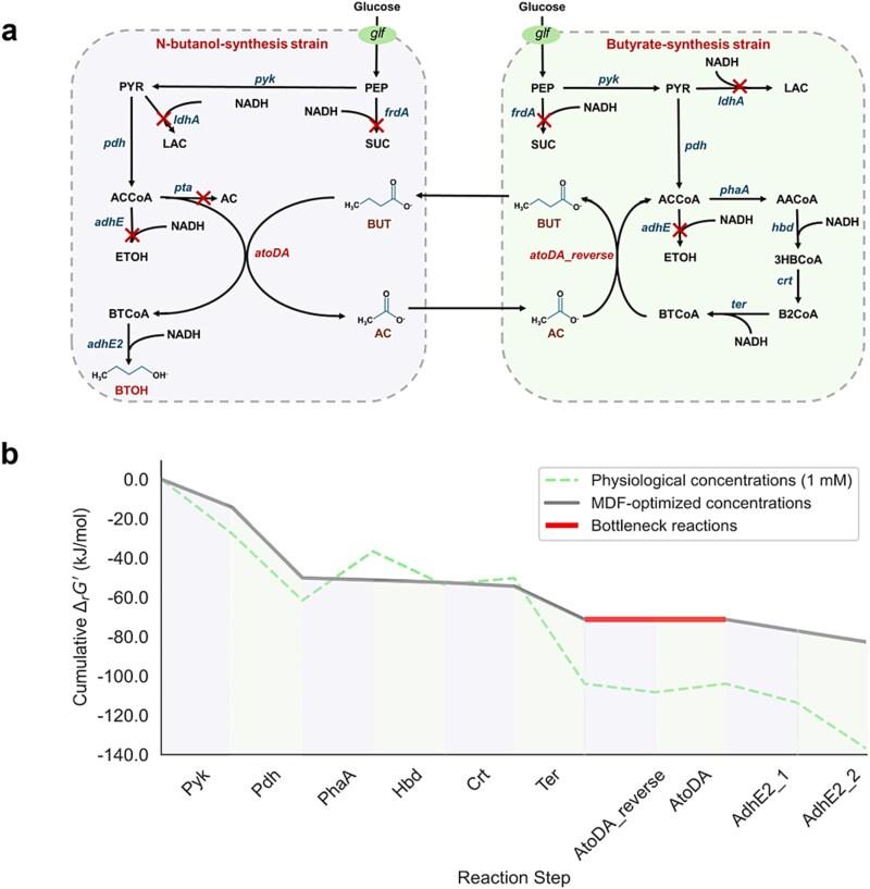 https://cdn.ncbi.nlm.nih.gov/pmc/blobs/55b7/12205937/b6349f5f5fb9/bbaf295f6.jpg