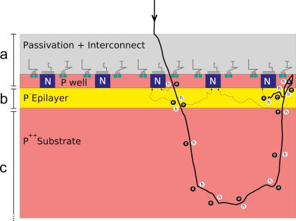 https://cdn.ncbi.nlm.nih.gov/pmc/blobs/55b7/2864625/32744b9d91e7/gr14.jpg