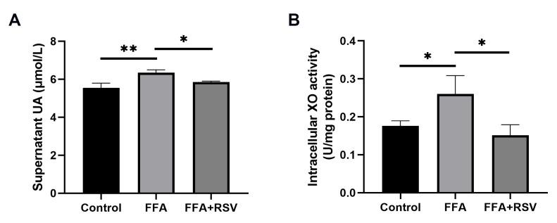https://cdn.ncbi.nlm.nih.gov/pmc/blobs/55b8/9921501/347ed17b57f1/nutrients-15-00492-g005.jpg