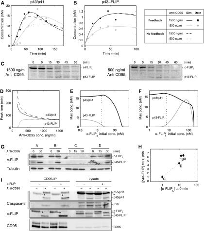 https://cdn.ncbi.nlm.nih.gov/pmc/blobs/55b9/2858442/bf912f637ac8/msb20106-f7.jpg