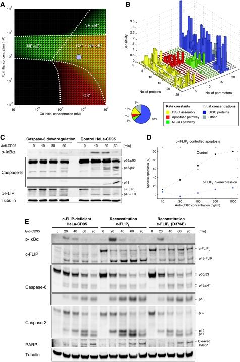 https://cdn.ncbi.nlm.nih.gov/pmc/blobs/55b9/2858442/cf31980d43f5/msb20106-f8.jpg