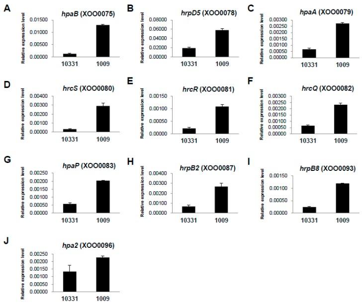 https://cdn.ncbi.nlm.nih.gov/pmc/blobs/55b9/4783988/72b938bf6bc2/ijms-17-00259-g004.jpg