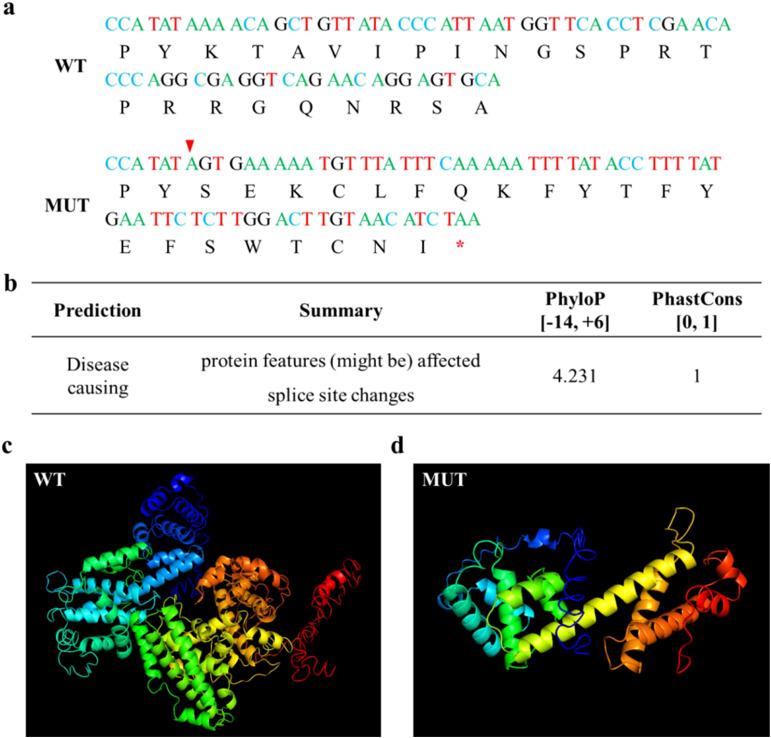 https://cdn.ncbi.nlm.nih.gov/pmc/blobs/55ba/12130007/4852a4b6da86/fonc-15-1525035-g003.jpg