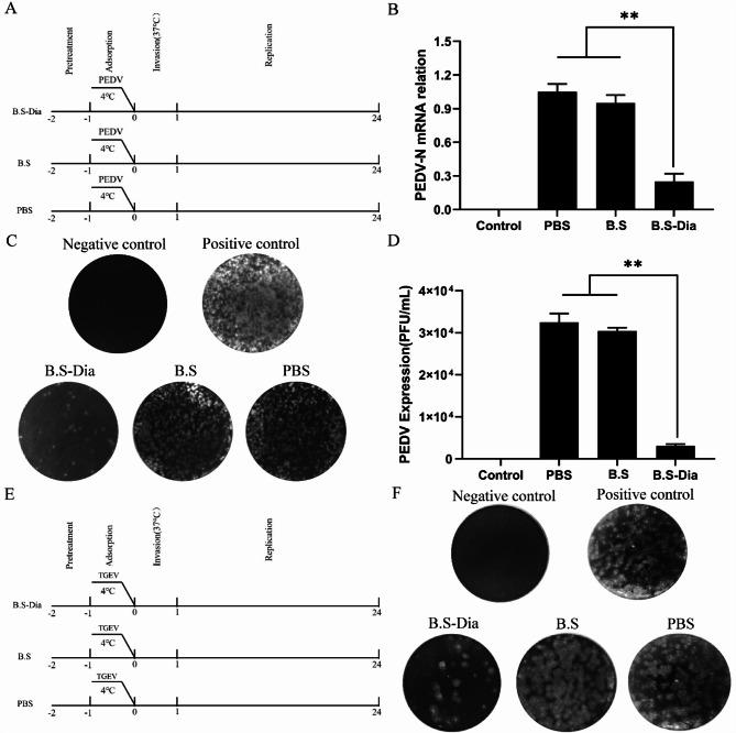 https://cdn.ncbi.nlm.nih.gov/pmc/blobs/55bd/10729370/8f0e5e52d84b/12917_2023_3846_Fig4_HTML.jpg
