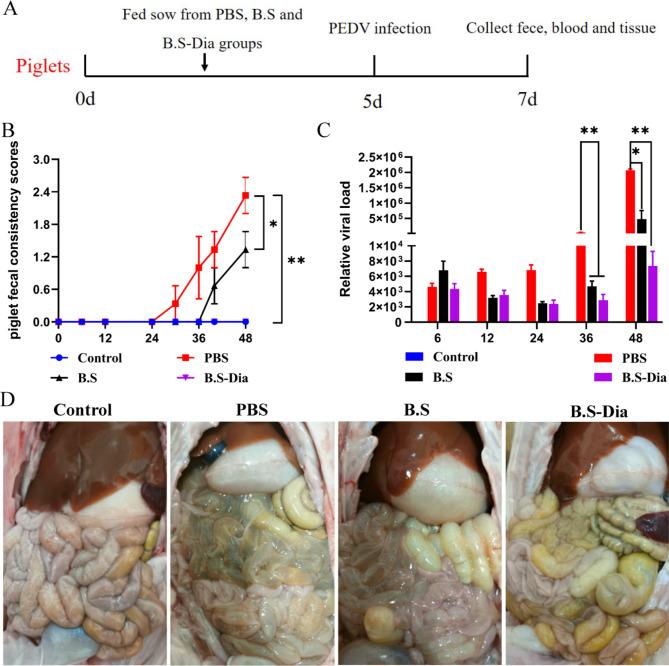 https://cdn.ncbi.nlm.nih.gov/pmc/blobs/55bd/10729370/ff43c95ddb4d/12917_2023_3846_Fig5_HTML.jpg