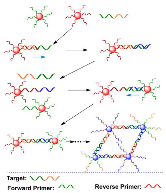 https://cdn.ncbi.nlm.nih.gov/pmc/blobs/55be/9220820/471c99bcd91b/biosensors-12-00421-g007.jpg