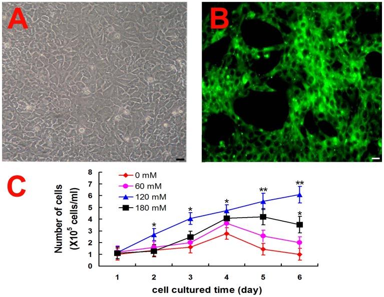 https://cdn.ncbi.nlm.nih.gov/pmc/blobs/55bf/3961358/66199e9c8b1d/pone.0092483.g001.jpg