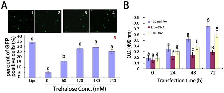 https://cdn.ncbi.nlm.nih.gov/pmc/blobs/55bf/3961358/6662ec974892/pone.0092483.g004.jpg