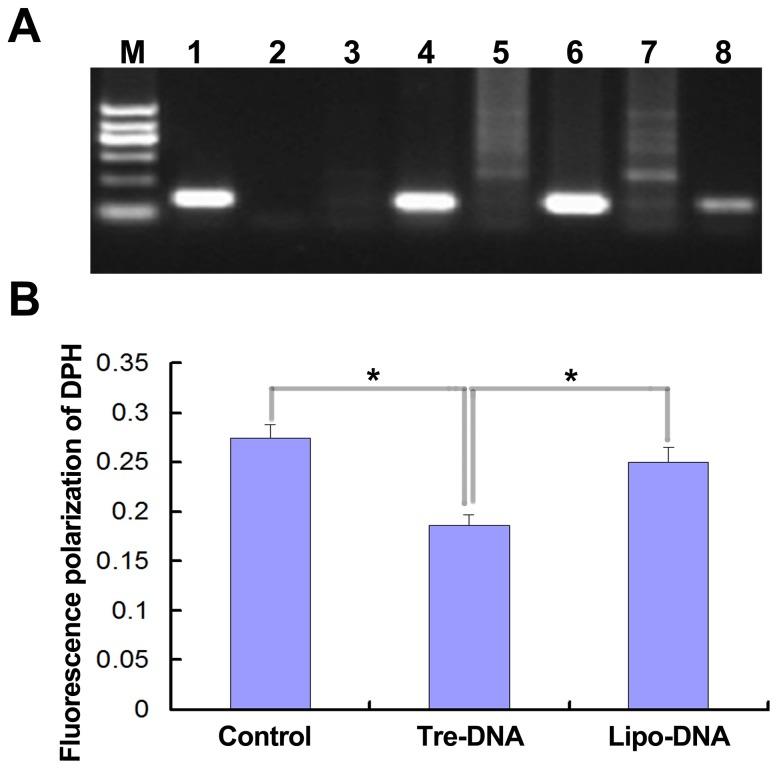 https://cdn.ncbi.nlm.nih.gov/pmc/blobs/55bf/3961358/8581cbdafc7a/pone.0092483.g006.jpg