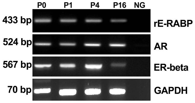 https://cdn.ncbi.nlm.nih.gov/pmc/blobs/55bf/3961358/99ecfe214646/pone.0092483.g003.jpg