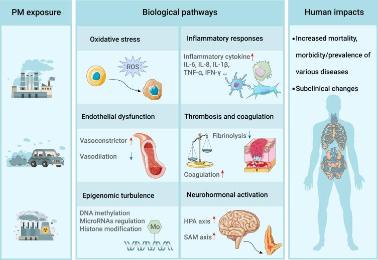 https://cdn.ncbi.nlm.nih.gov/pmc/blobs/55bf/9490194/b8e8e5f7ea70/gr4.jpg