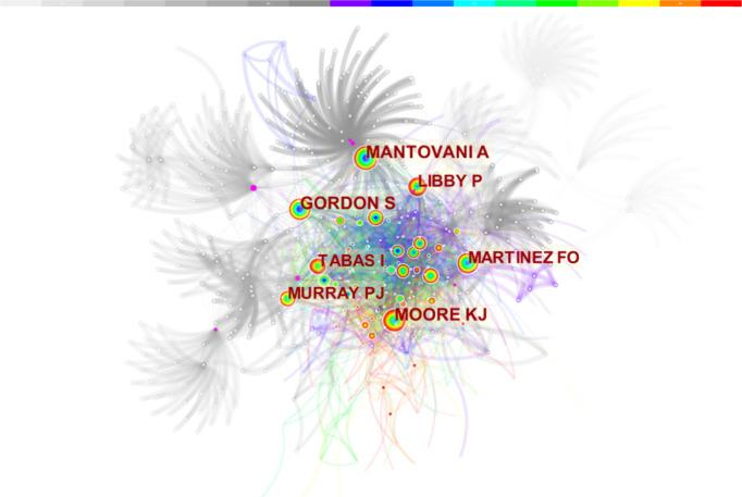 https://cdn.ncbi.nlm.nih.gov/pmc/blobs/55c0/9250973/9023711efa91/fimmu-13-910444-g003.jpg