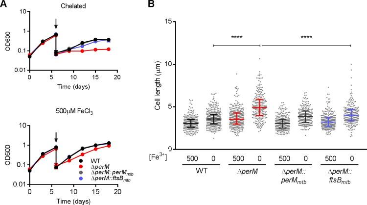 https://cdn.ncbi.nlm.nih.gov/pmc/blobs/55c3/6872210/c042384d3bb8/elife-49570-fig6-figsupp1.jpg
