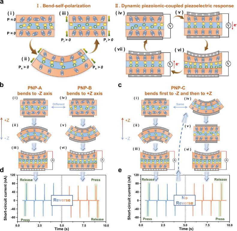 https://cdn.ncbi.nlm.nih.gov/pmc/blobs/55c4/11686271/8f136b7c2dd4/41467_2024_55177_Fig2_HTML.jpg
