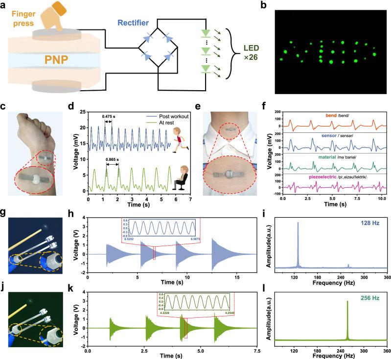 https://cdn.ncbi.nlm.nih.gov/pmc/blobs/55c4/11686271/b10805935486/41467_2024_55177_Fig5_HTML.jpg