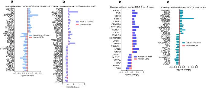 https://cdn.ncbi.nlm.nih.gov/pmc/blobs/55c4/8225861/0b5f9249a005/42003_2021_2255_Fig5_HTML.jpg