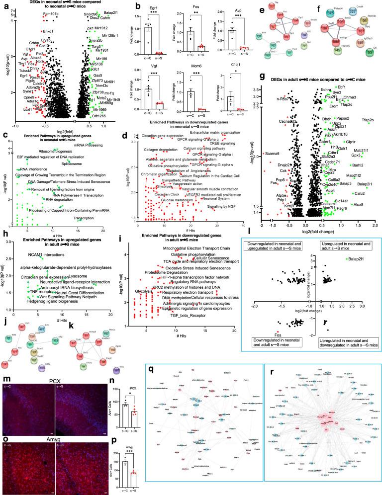 https://cdn.ncbi.nlm.nih.gov/pmc/blobs/55c4/8225861/1e86969d059d/42003_2021_2255_Fig3_HTML.jpg