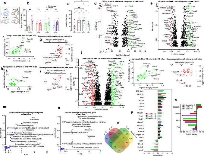 https://cdn.ncbi.nlm.nih.gov/pmc/blobs/55c4/8225861/284ae41c9651/42003_2021_2255_Fig4_HTML.jpg