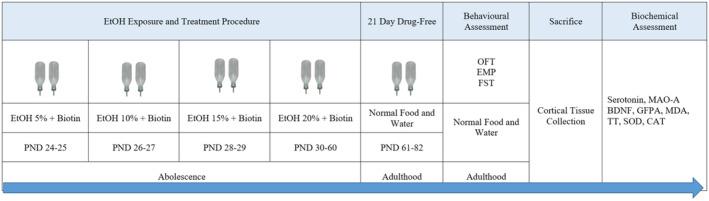 https://cdn.ncbi.nlm.nih.gov/pmc/blobs/55c5/11702386/c36fc4a2d399/NPR2-45-e12523-g002.jpg