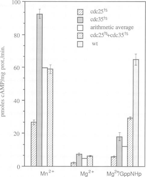 https://cdn.ncbi.nlm.nih.gov/pmc/blobs/55c5/551717/07af8292ee8c/emboj00230-0053-a.jpg